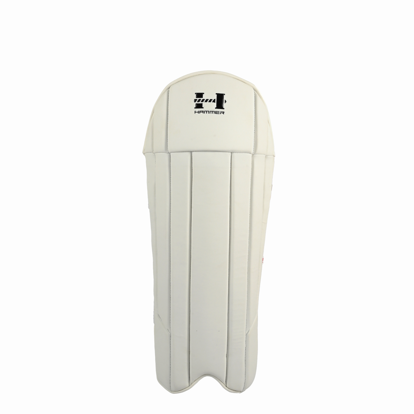 Hammer Black Edition Wicket Keeping Pads