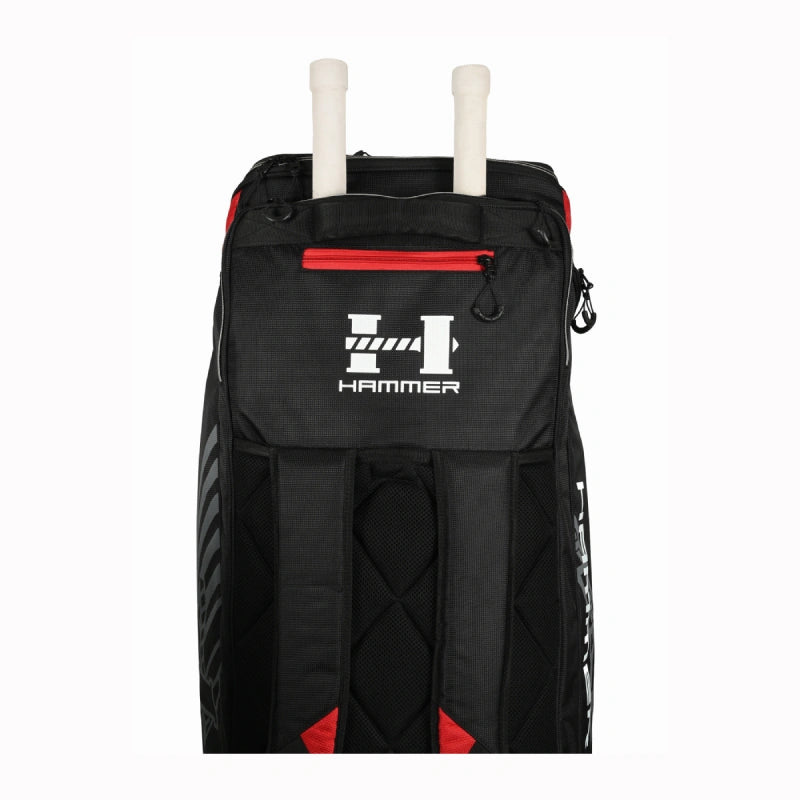 kit bag with two bat handles